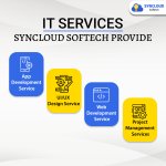 syncloud-it-service.jpg