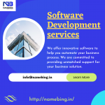 software development services.png